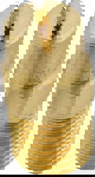 Brass Standard Fan Nozzle: 1/4